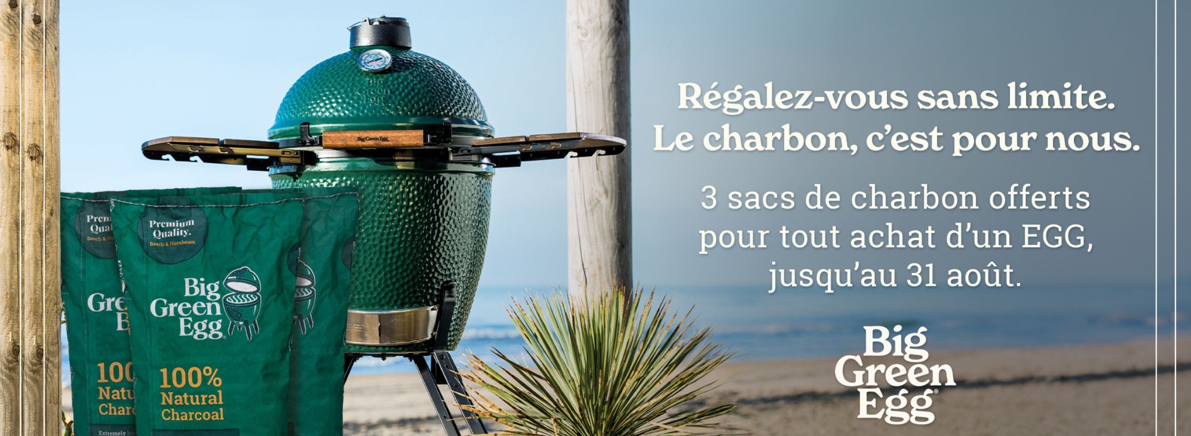 Promo Big Green Egg